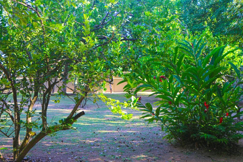 Villa Saint Sauveur Baie Sainte Anne Esterno foto